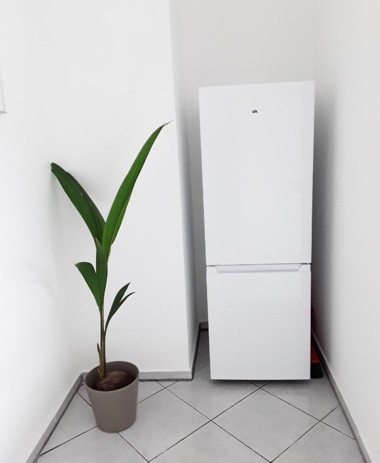 Schoene, Ruhige Zweiraumwohnung Im Angesagten Altlindenau Лейпциг Екстер'єр фото